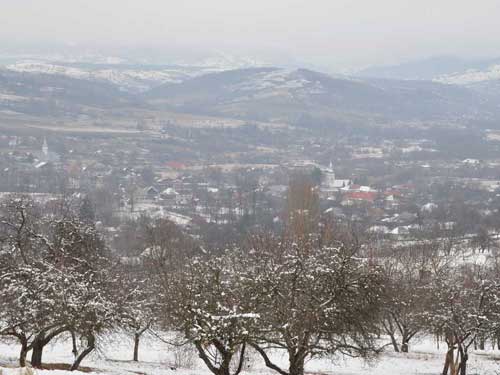 Foto Copalnic Manastur (c) Petru Goja